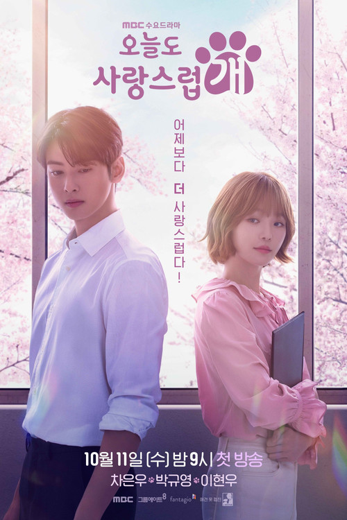 오늘도 사랑스럽개 