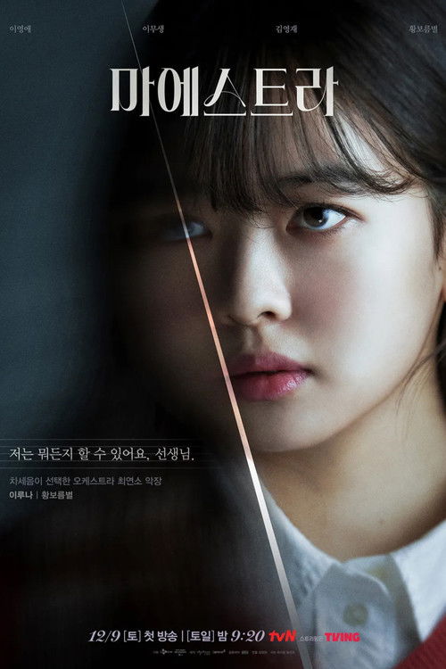 마에스트라 