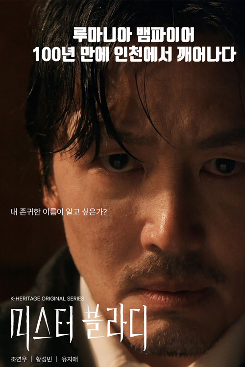 미스터 블라디