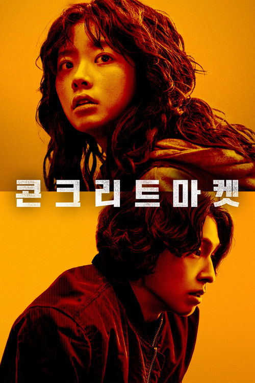 콘크리트 마켓