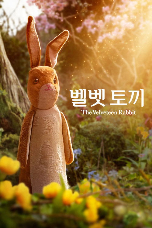 벨벳 토끼