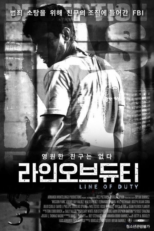 라인 오브 듀티