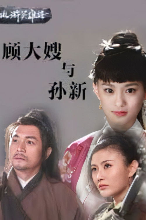 수호지-천하대영웅 손신
