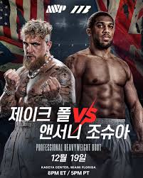 제이크 폴 vs 앤서니 조슈아