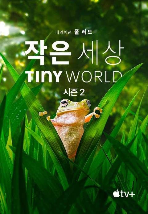 작은 세상 시즌 2