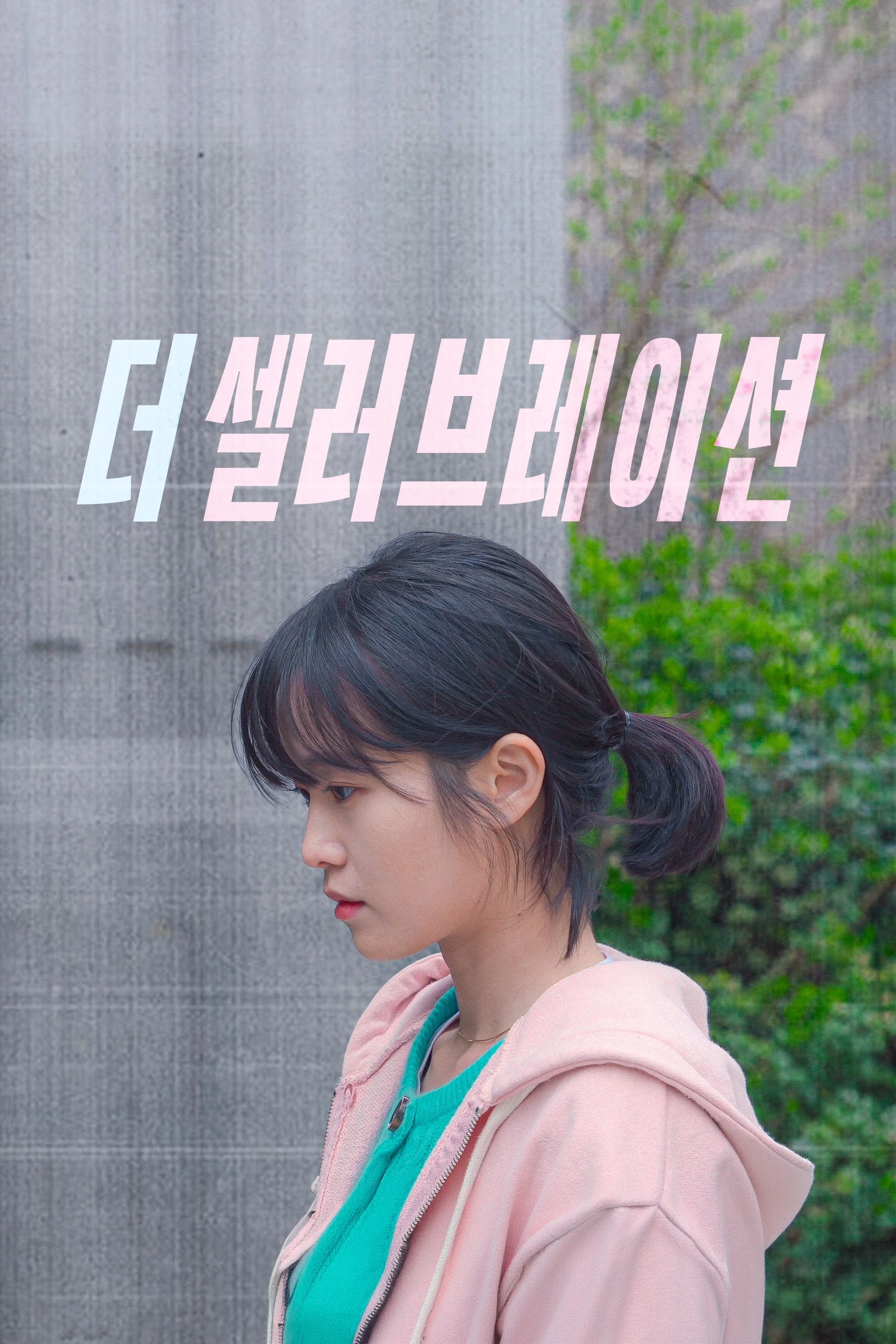 더 셀러브레이션