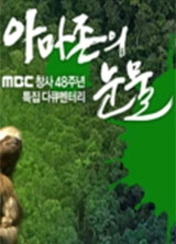 아마존의 눈물