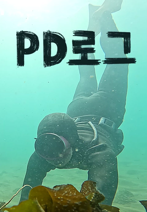 PD로그