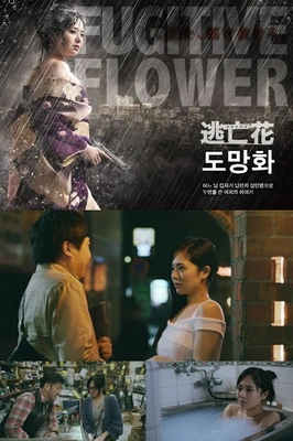 도망화