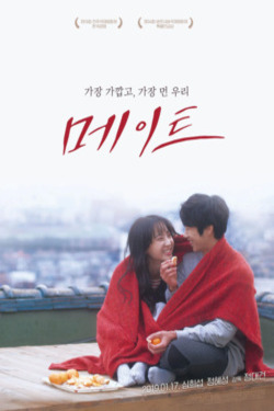 메이트