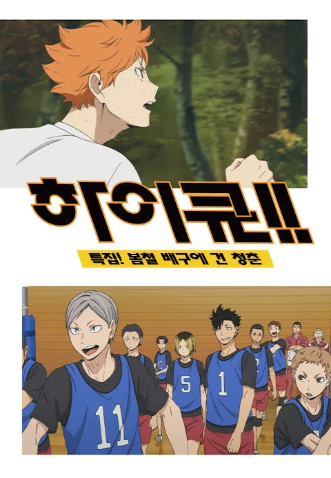 하이큐!! 특집! 봄철 배구에 건 청춘