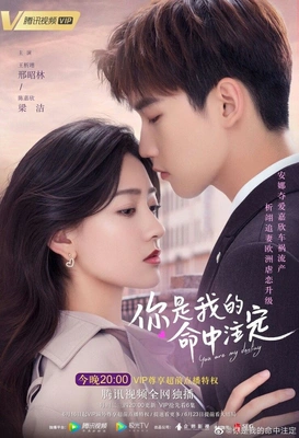 니시아적명중주정: 운명처럼 널 사랑해