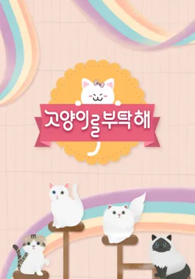 고양이를 부탁해 시즌 8