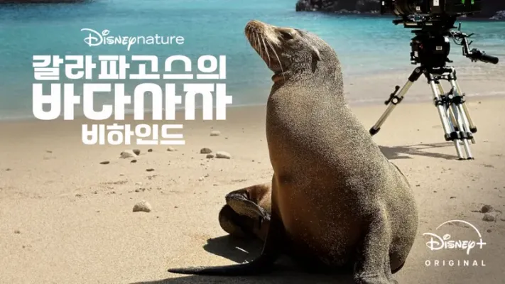갈라파고스의 바다사자 비하인드
