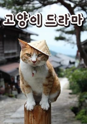 고양이 드라마