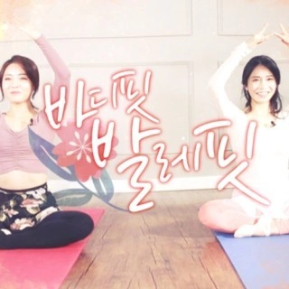 바디핏 발레핏