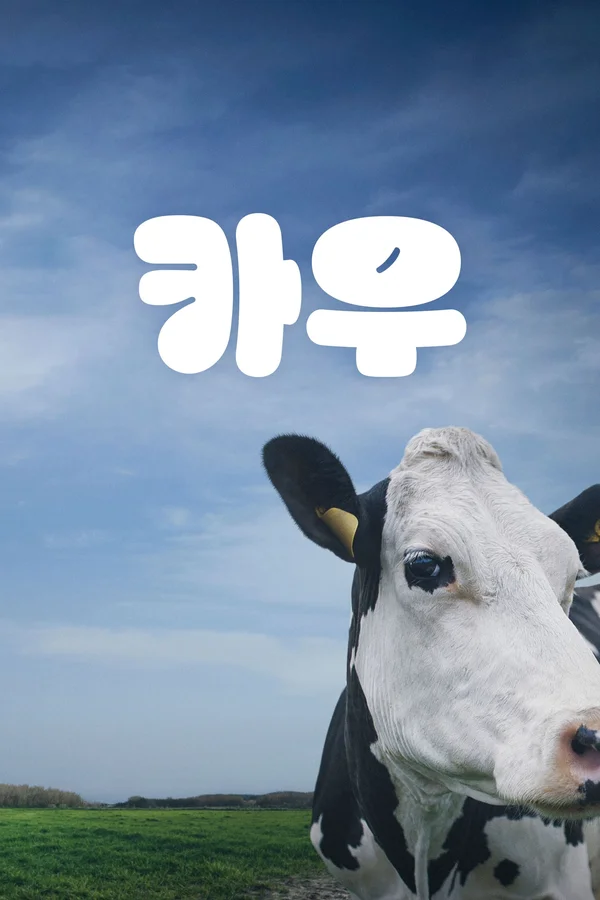 카우