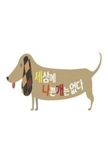 세상에 나쁜 개는 없다 시즌 1