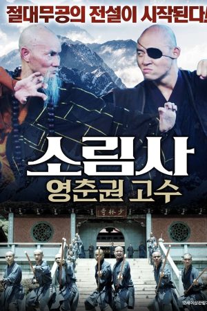 소림사: 영춘권 고수