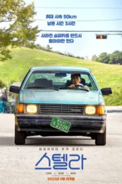 스텔라
