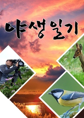 야생일기