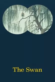 백조