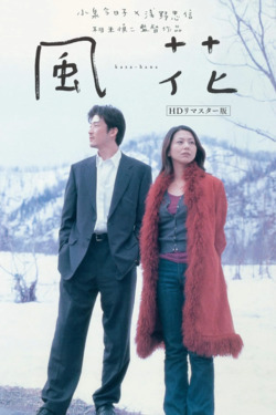 바람꽃
