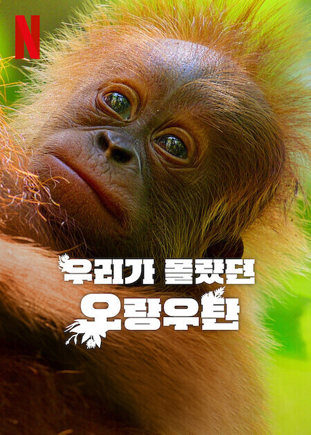 우리가 몰랐던 오랑우탄