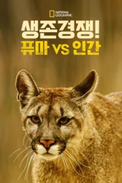 생존 경쟁! 퓨마 vs 인간