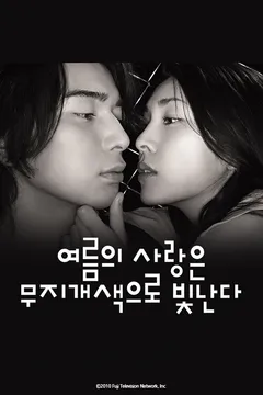 여름의 사랑은 무지개색으로 빛난다