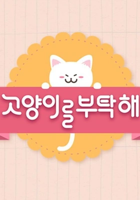 고양이를 부탁해 시즌 6
