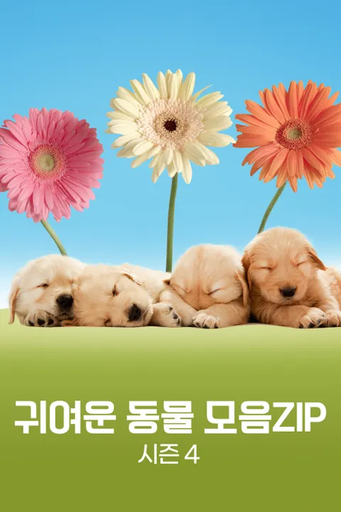 귀여운 동물 모음ZIP 시즌4