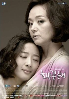 호박꽃 순정