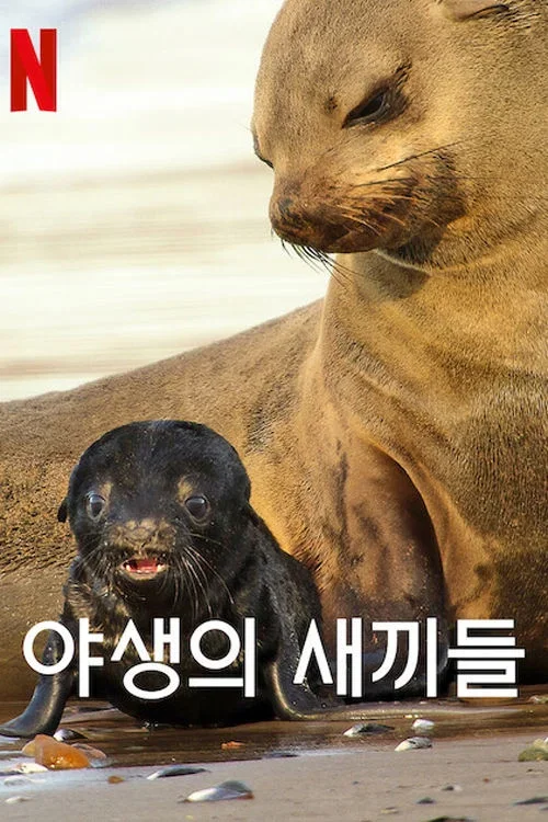 야생의 새끼들