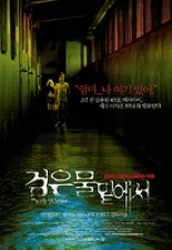 검은 물 밑에서