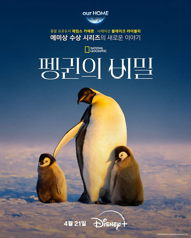 펭귄의 비밀
