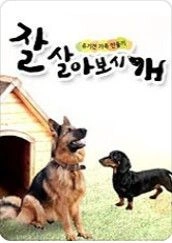 잘살아보시개 시즌1