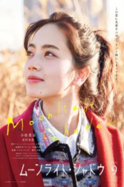 달빛 그림자