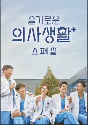 슬기로운 의사생활 스페셜