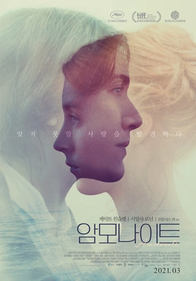암모나이트