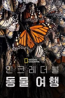인크레더블 동물 여행 