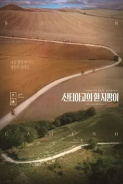 산티아고의 흰 지팡이
