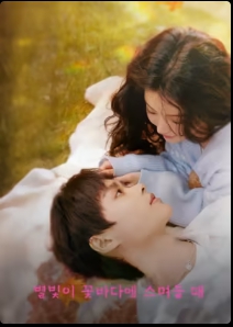 별빛이 꽃바다에 스며들 때