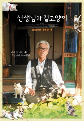 선생님과 길고양이