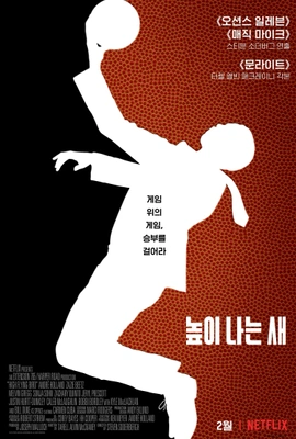 높이 나는 새