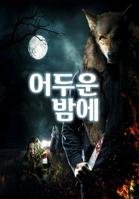 어두운 밤에