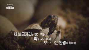 추석 특선 작지만 위대한 모험
