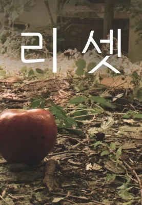 리셋