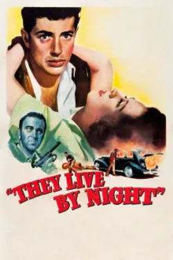 그들은 밤에 산다