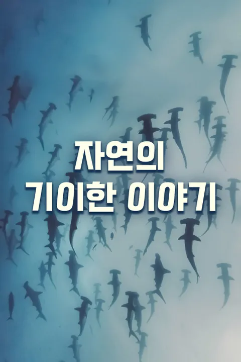 자연의 기이한 이야기